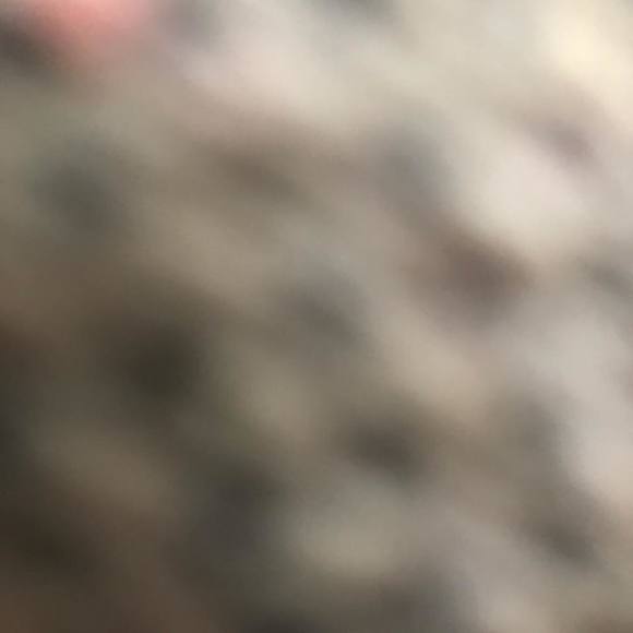 mstuvesent
